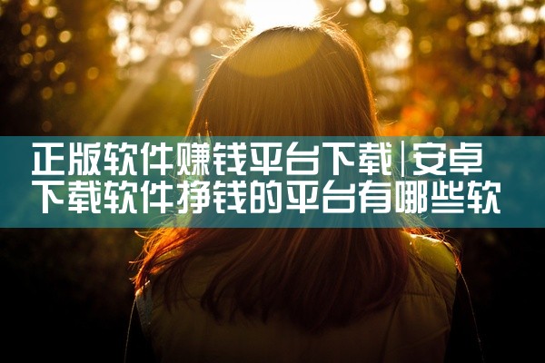 正版软件赚钱平台下载
