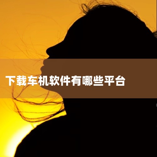 车机应用的下载软件有多种，常见的有以下几种：一、应用宝车机版1. 丰富的应用资源：它提供海量的车机应用，涵盖导航、音乐、视频、工具等各类软件。例如，能找到像高德地图车机版这样精准实用的导航应用，让驾车|