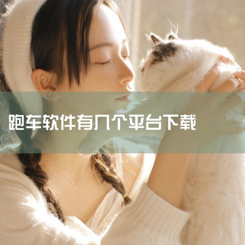 跑车软件平台很多，例如：1、美团打车：2017年在南京试点上线，目前已经在北京、上海、成都、杭州等城市上线，目前已经在全国各个城市开始逐渐开放。2、优步：优步是最早的网约车平台，2014年才进入中国，,