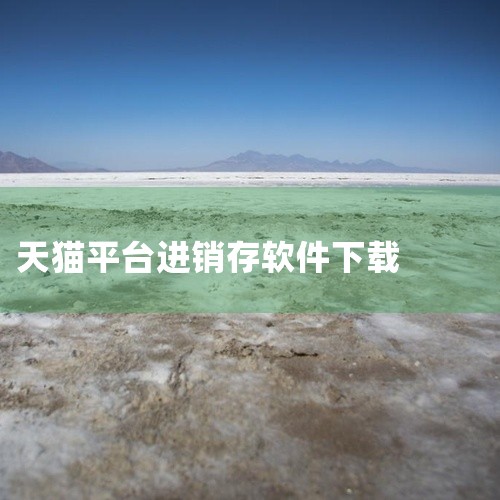 管家婆：简介：由成都任我行软件公司开发，实用易用，专为中小企业设计。特点：财务一体化管理，荣获多项重量级荣誉，品牌信誉度高。秦丝进销存：简介：支持多平台免费使用，以进销存管理为基础，提供店铺智能硬件和,