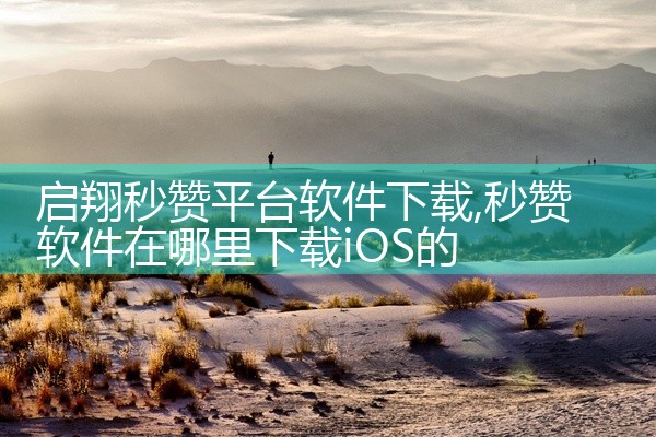 启翔秒赞平台软件下载