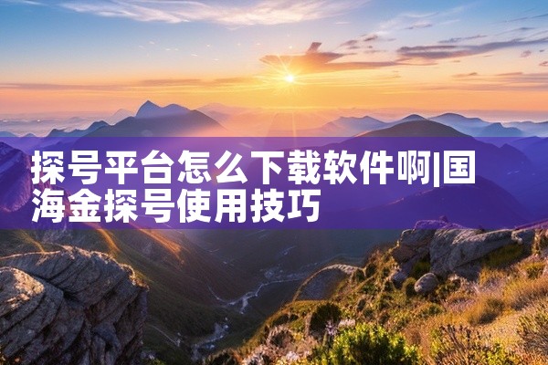 探号平台怎么下载软件啊