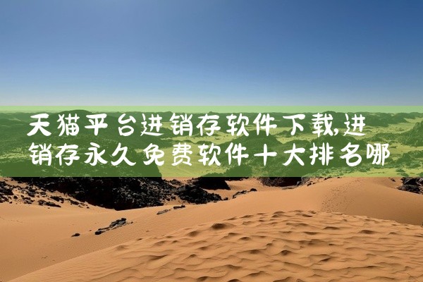 天猫平台进销存软件下载